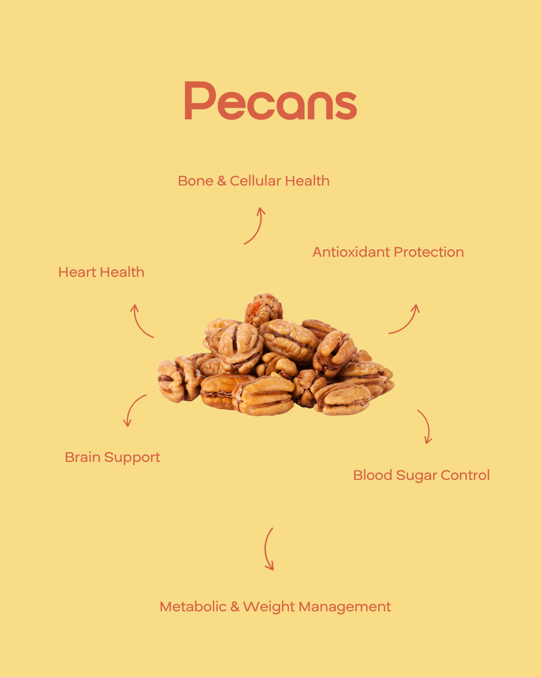 Pecans — 3.5 oz (100 g) Pouch