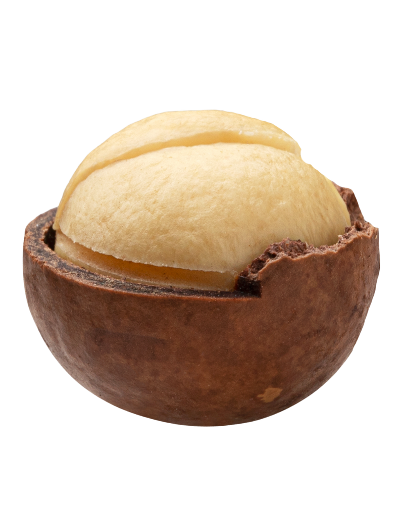 Macadamias