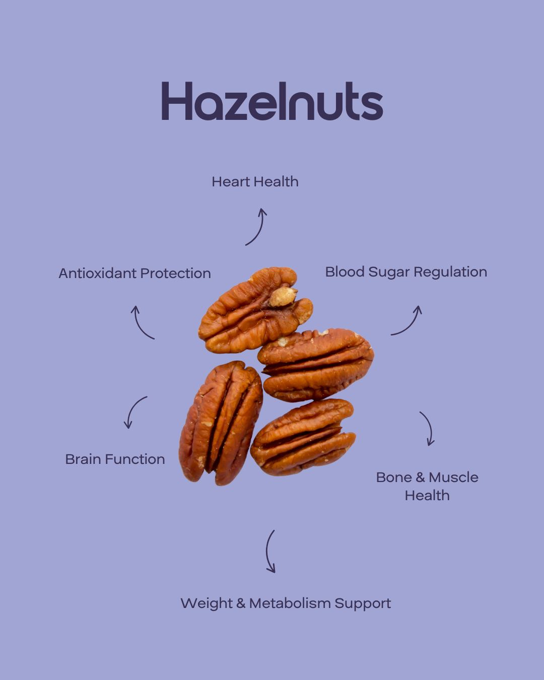 Hazelnuts — 3.5 oz (100 g) Pouch