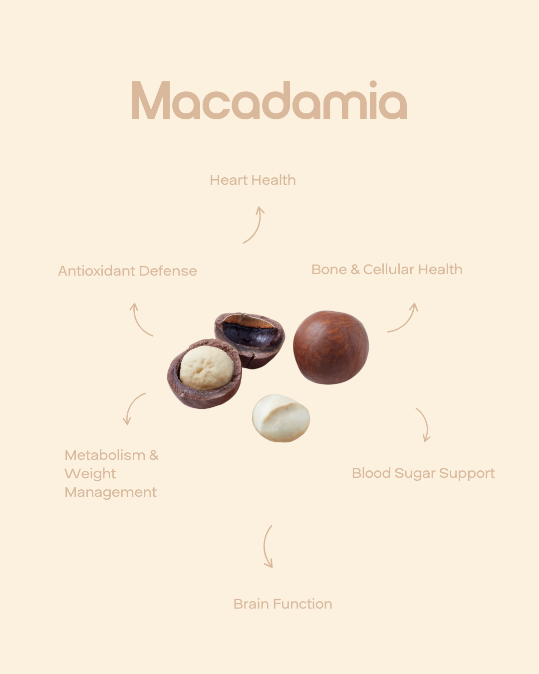 Macadamia — 3.5 oz (100 g) Pouch